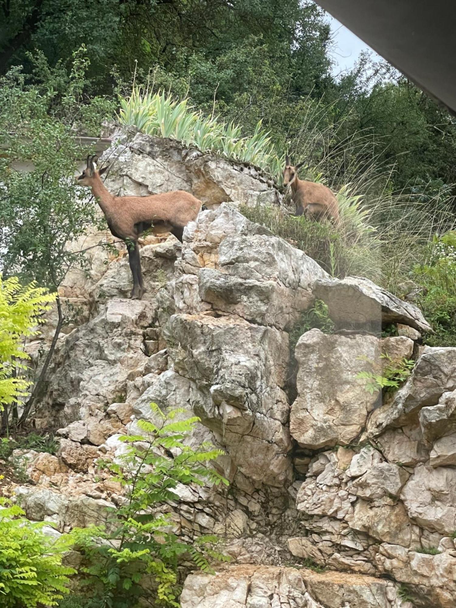 Maison Au Bord De L'Eau Les Roches Rochefort-sur-Nenon Esterno foto